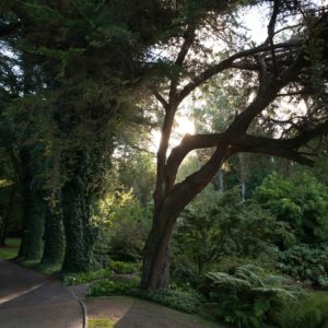 Huka Lodge - Image 6