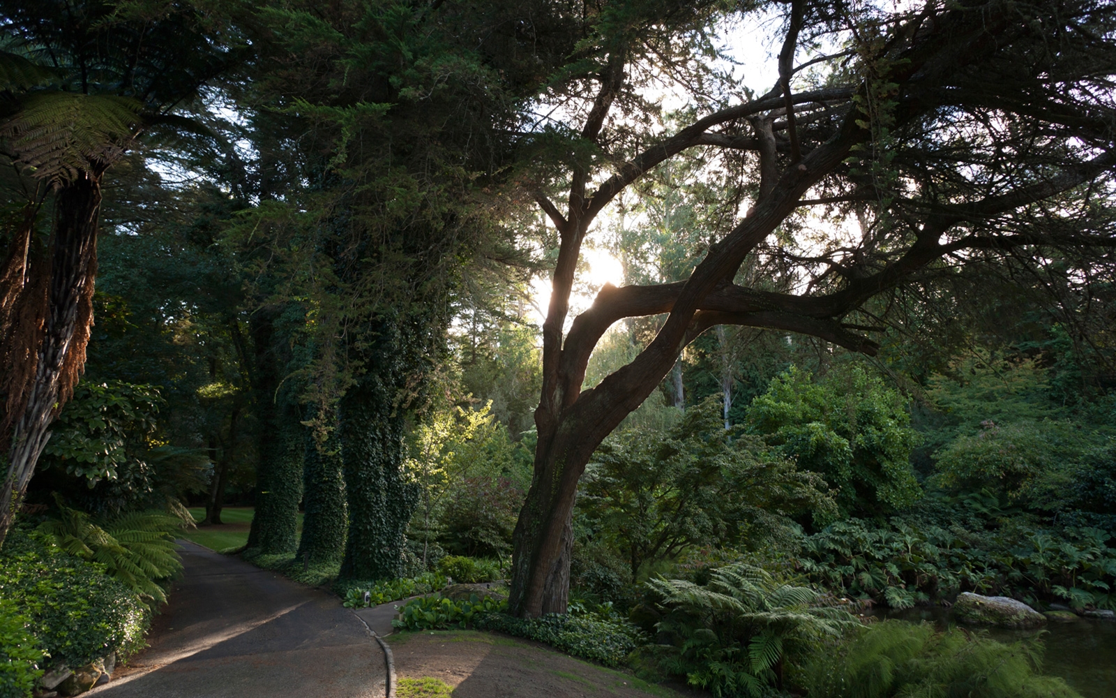 Huka Lodge - Image 6