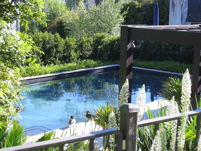 Guest House Parnell - Image 5