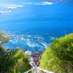 Ngaio Cottage - Image 4
