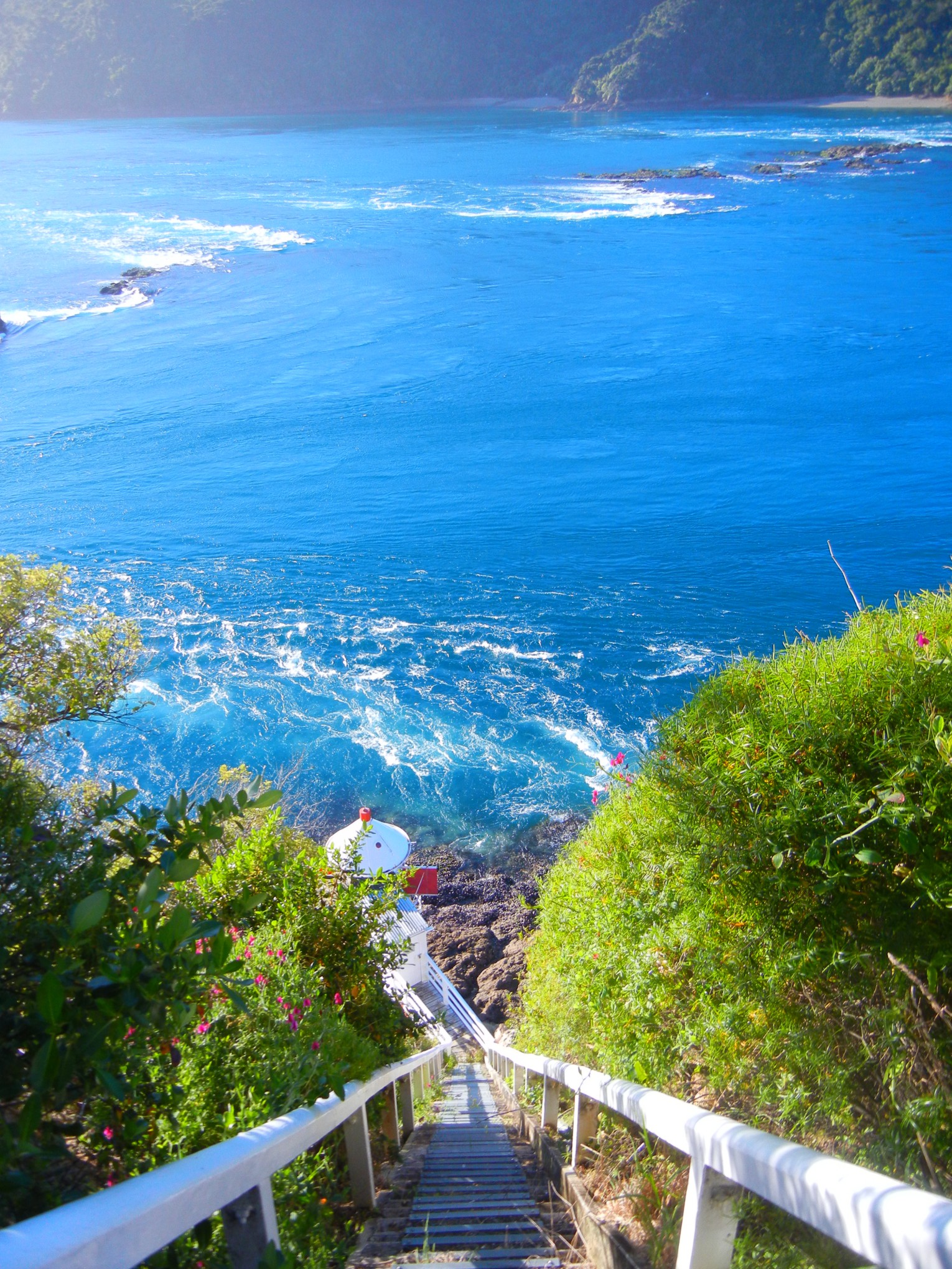Ngaio Cottage - Image 4