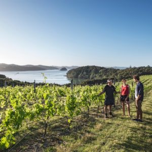 Alternative view of Waipoua Lodge