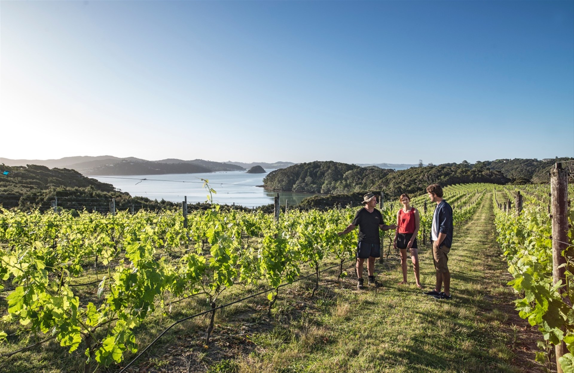 Waipoua Lodge - Image 2