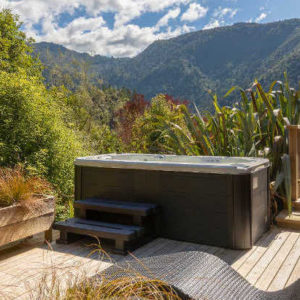 Kiwi Resurgence - Image 3