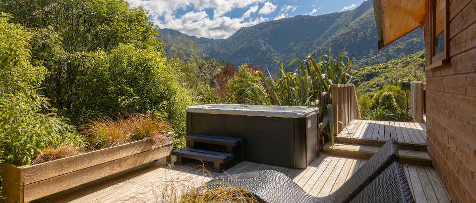 Kiwi Resurgence - Image 3