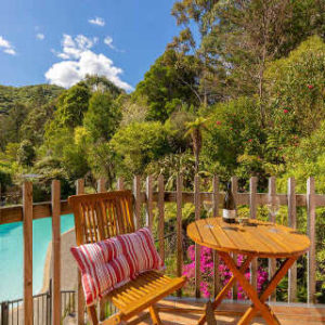 Kiwi Resurgence