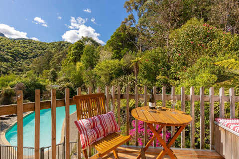 Kiwi Resurgence