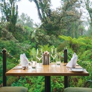 Te Waonui Forest Retreat - Image 5