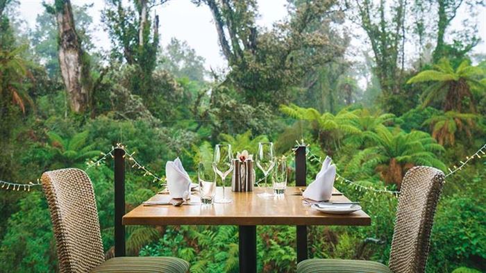 Te Waonui Forest Retreat - Image 5