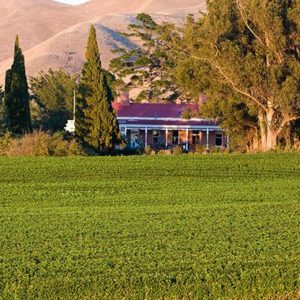 Ugbrooke Country Estate - Image 4